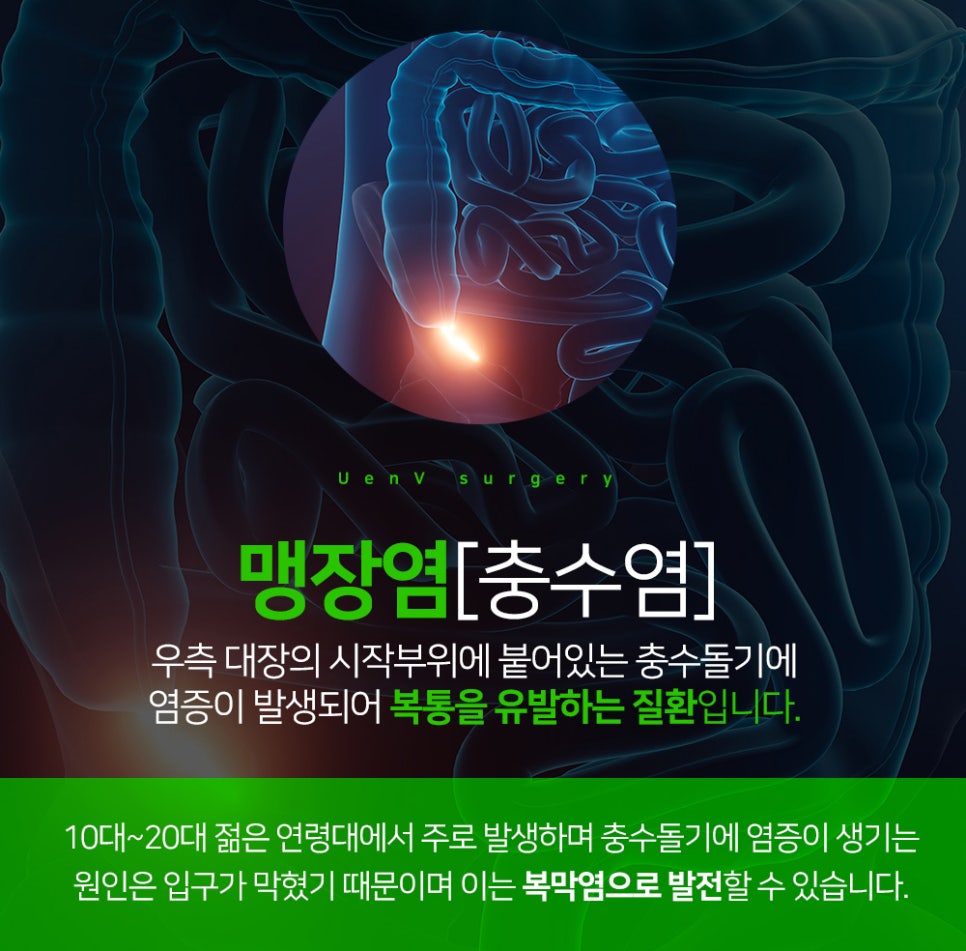 유엔비의원 이미지