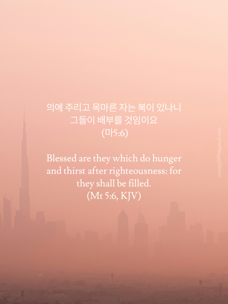 온타임 이미지