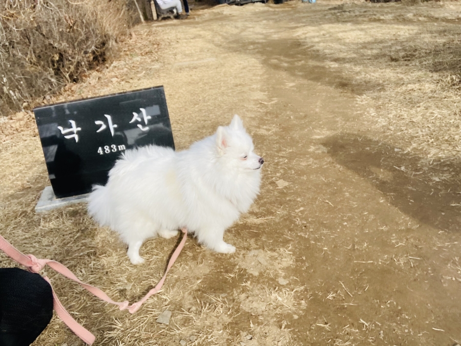 가판대 이미지