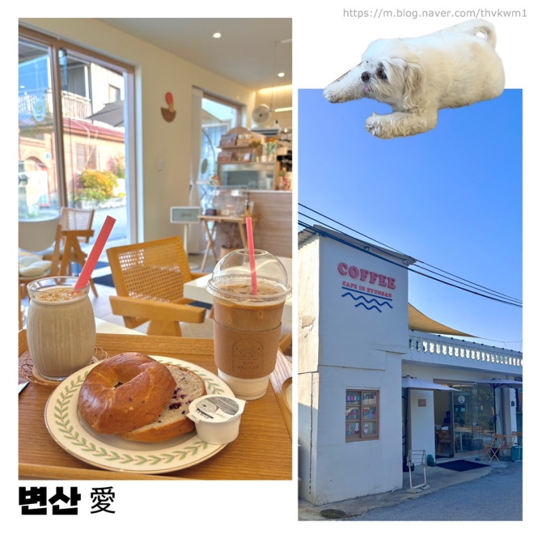 변산애 이미지