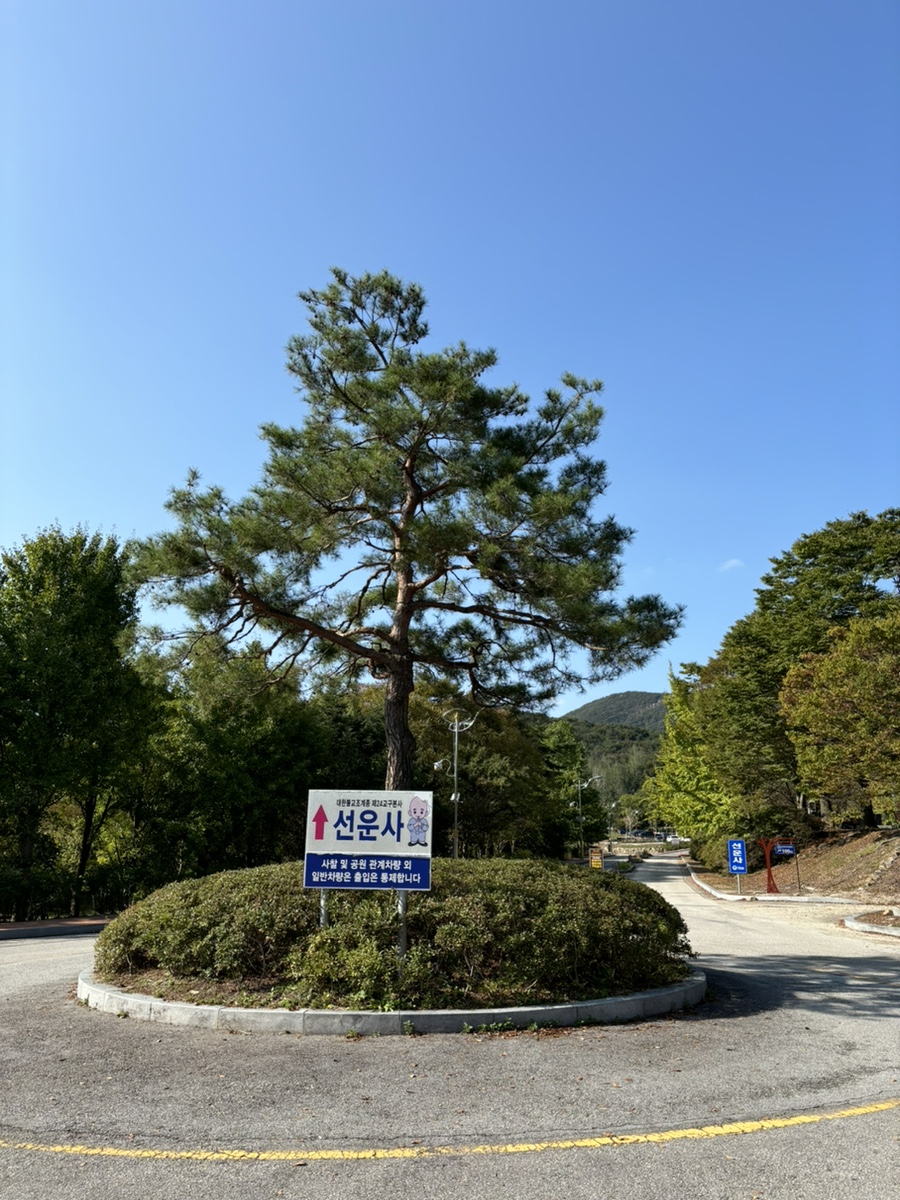 GS25선운산리조트 이미지