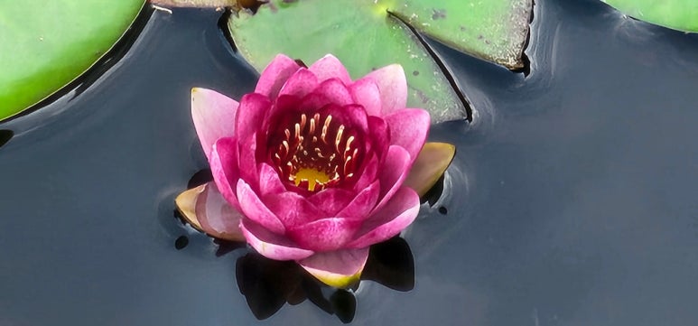 청결용역주 이미지