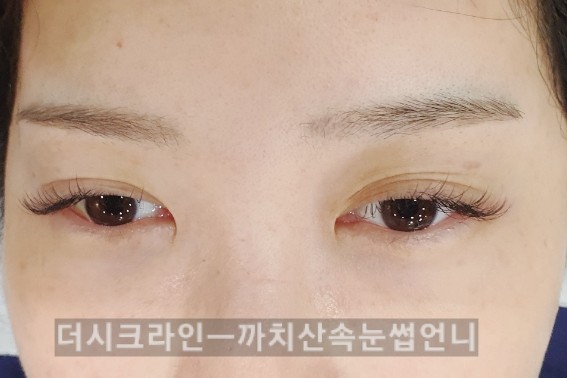 더시크라인 이미지