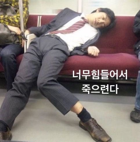 고기장중문 이미지