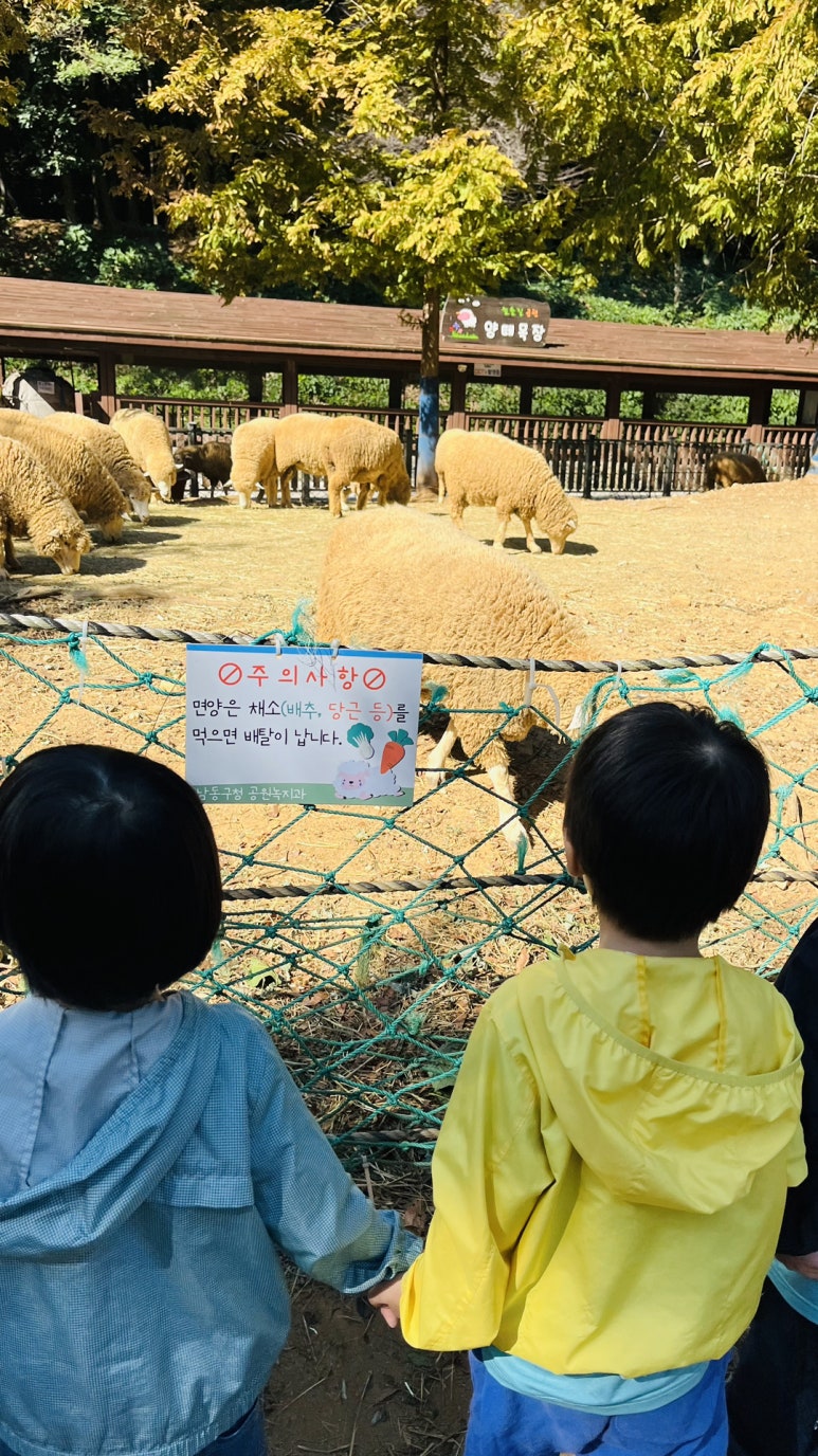 문학어린이집 이미지