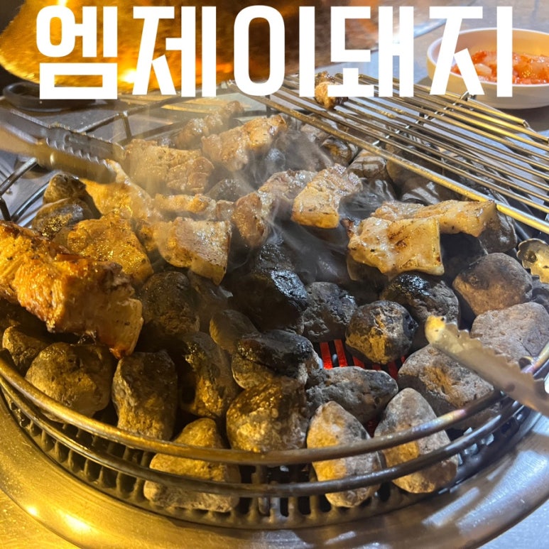 엠제이돼지 이미지