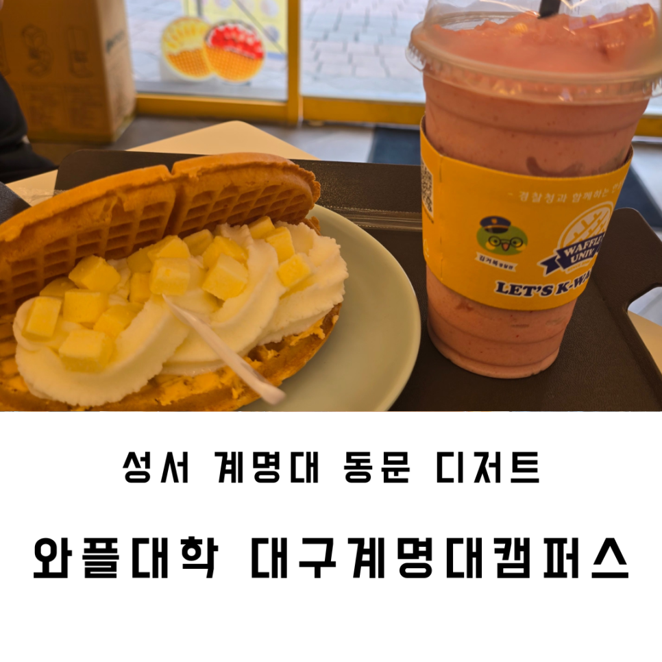 와플대학대구계명대캠퍼스 이미지