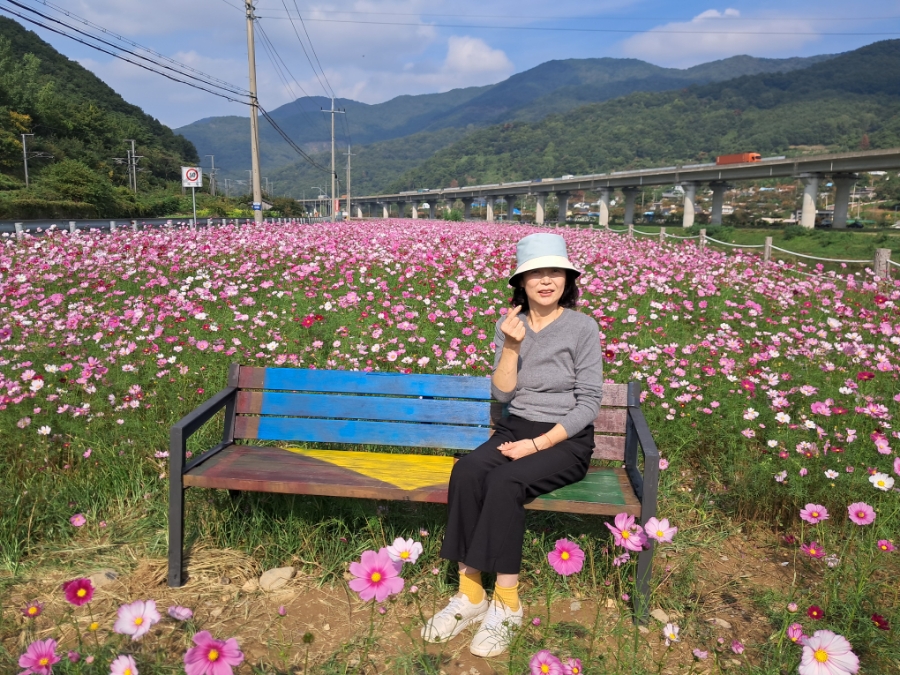 오혜숙 생활단식 젊은지사 이미지