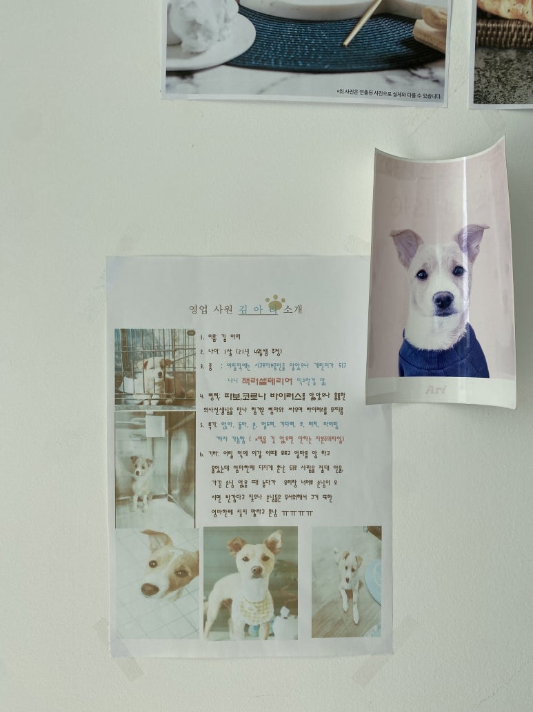 카페인오아시스 이미지