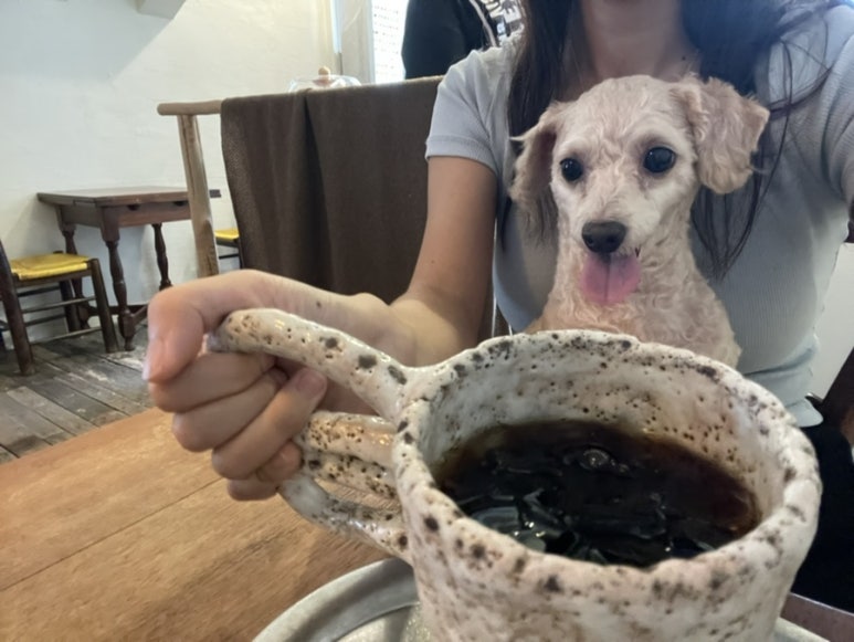 에이심 이미지