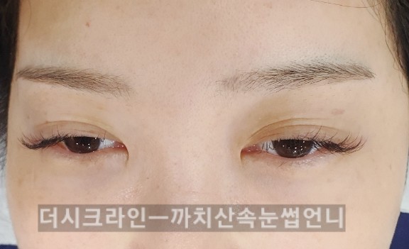 더시크라인 이미지