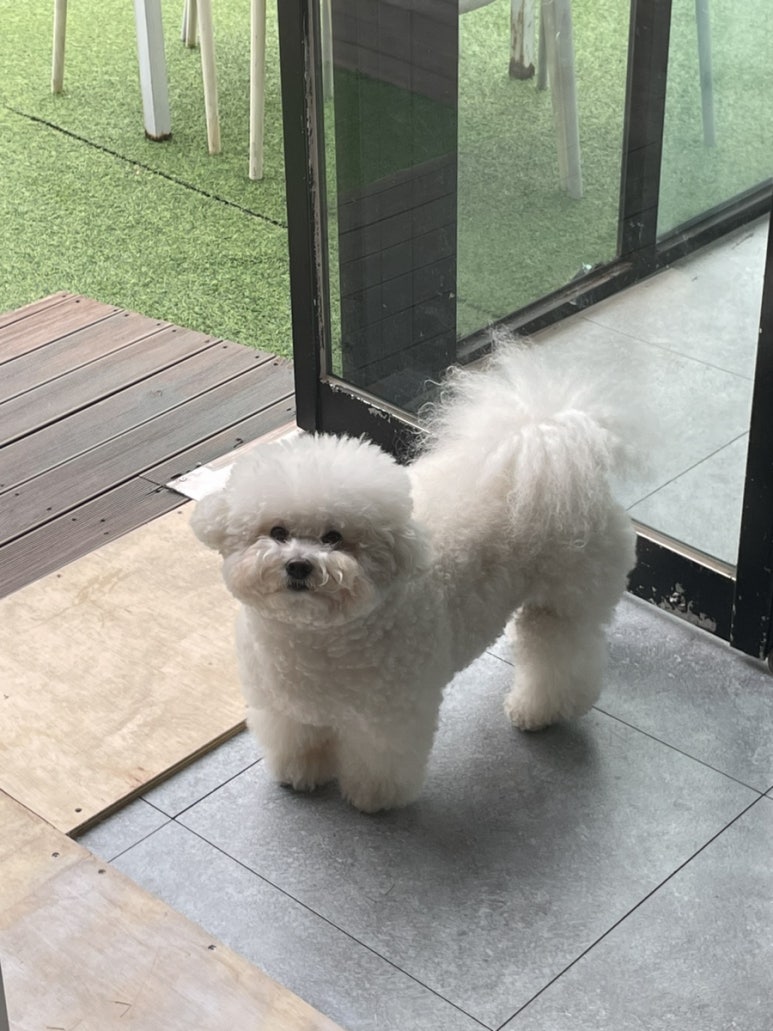 카페드숑 이미지