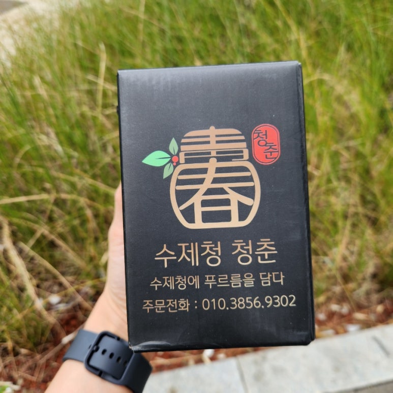 수제청청춘 이미지