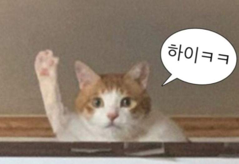 유우히 이미지