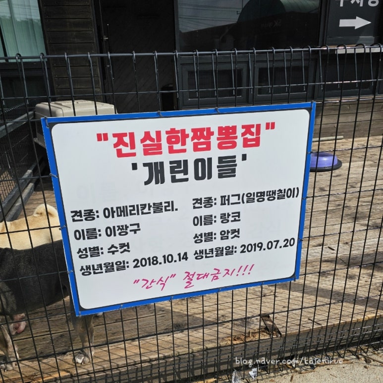 진실한짬뽕집 이미지
