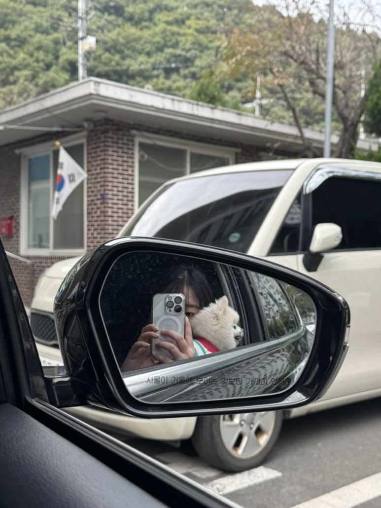 도담댕기 이미지