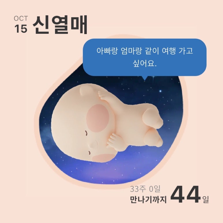 드림코지 이미지