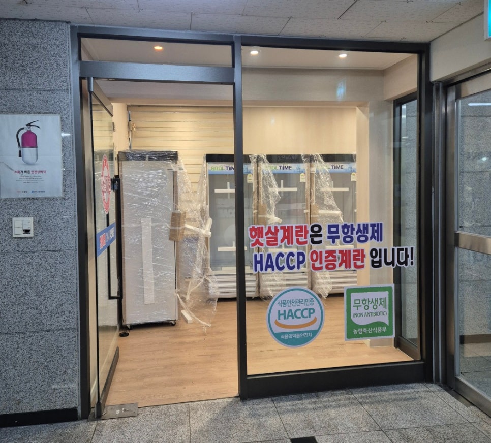 햇살계란 이미지