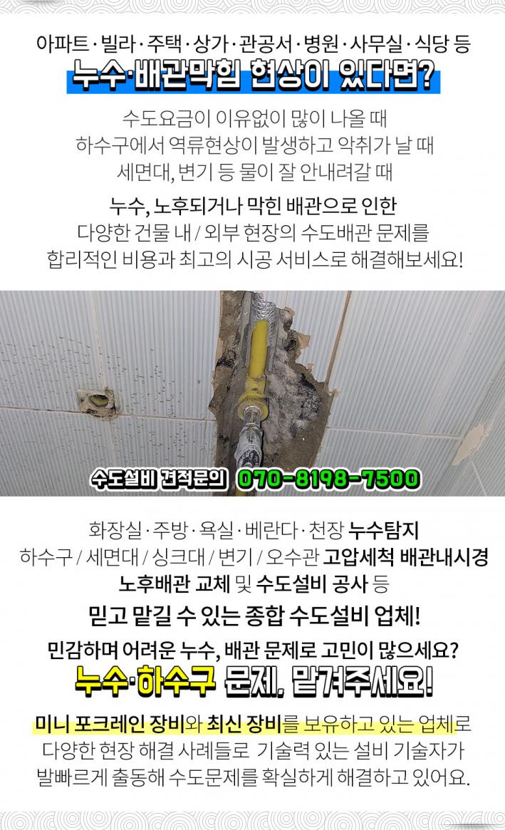 버클리명문유치원 이미지