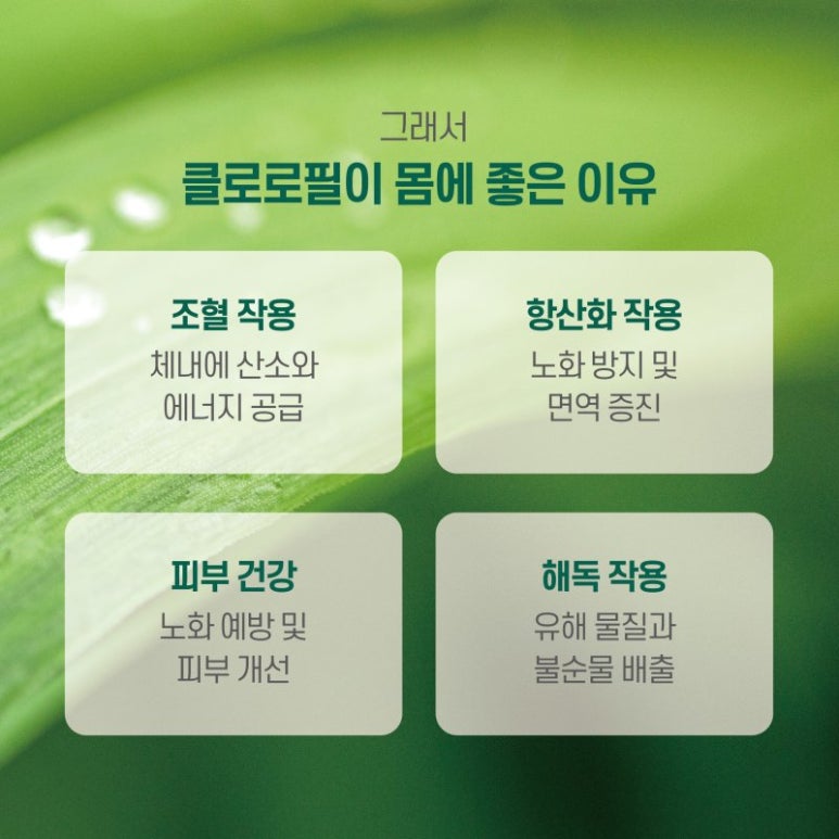 트루그린 이미지