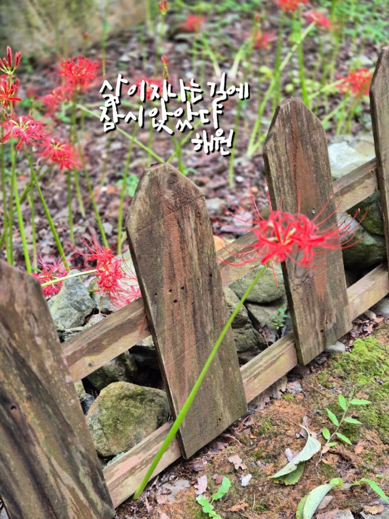 지나는길에 이미지