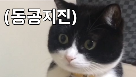 언북문화체육센터 이미지