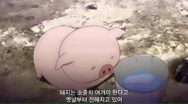 장우대구막창 이미지