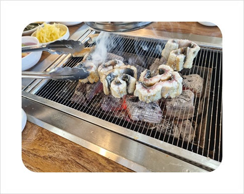 영광풍천장어 이미지