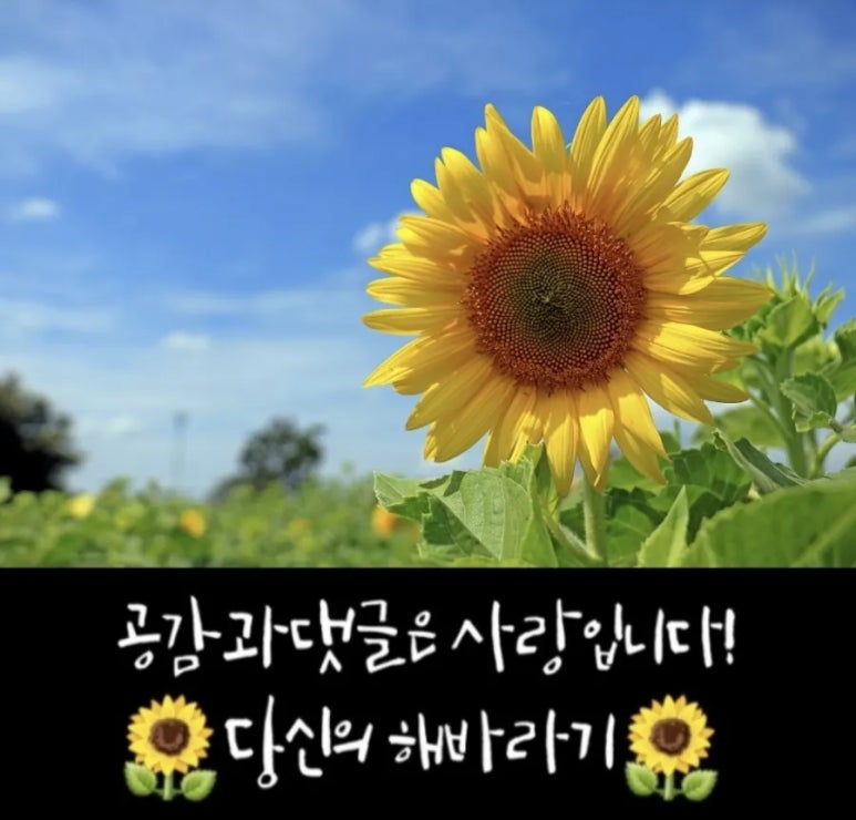 나유치과의원 이미지