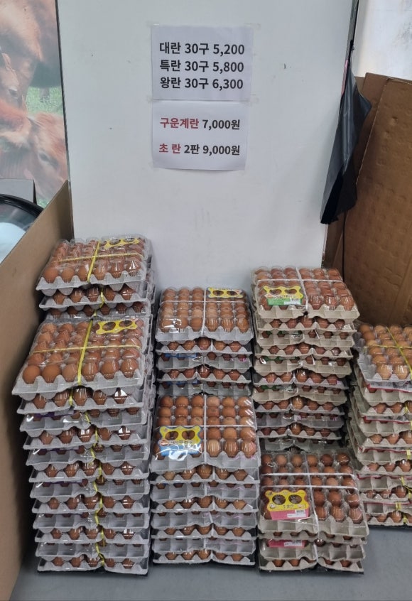 계룡한우정육점 이미지