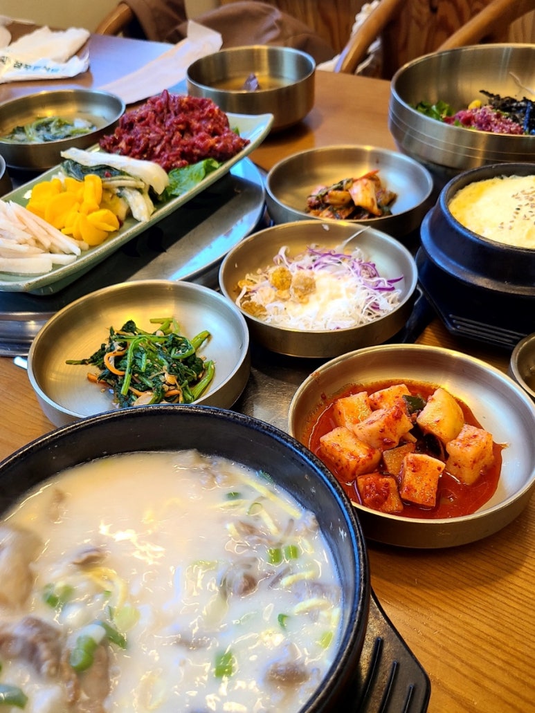 푸른참 이미지