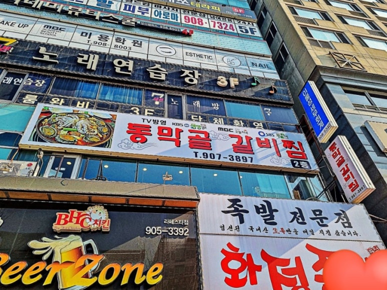 돈낙지 이미지