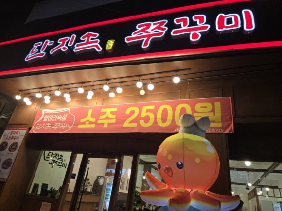 단지속쭈꾸미 이미지