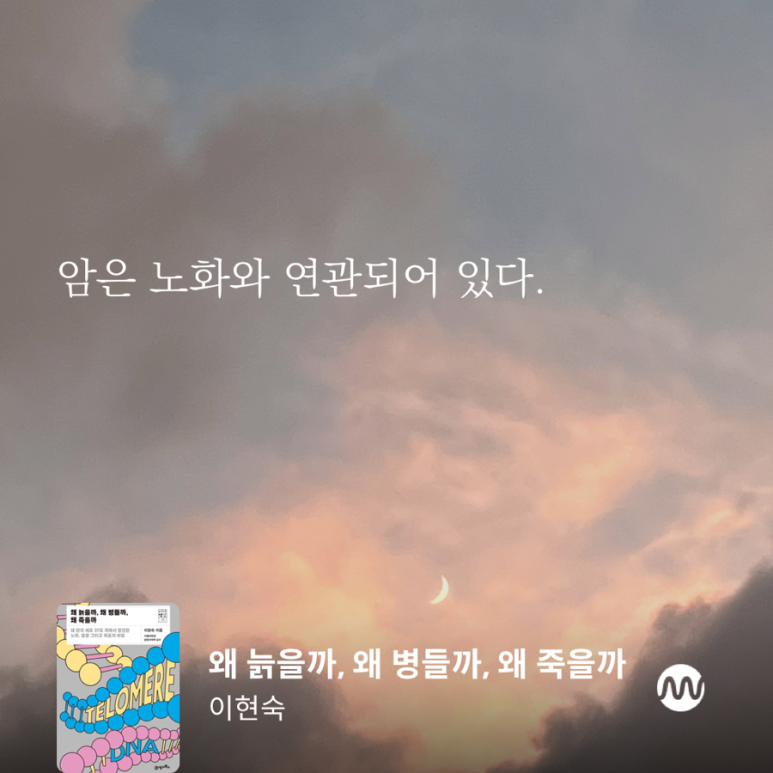 신시 이미지