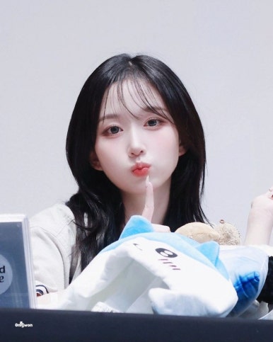 마이향 이미지