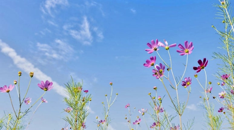 코멕스전자(주) 이미지