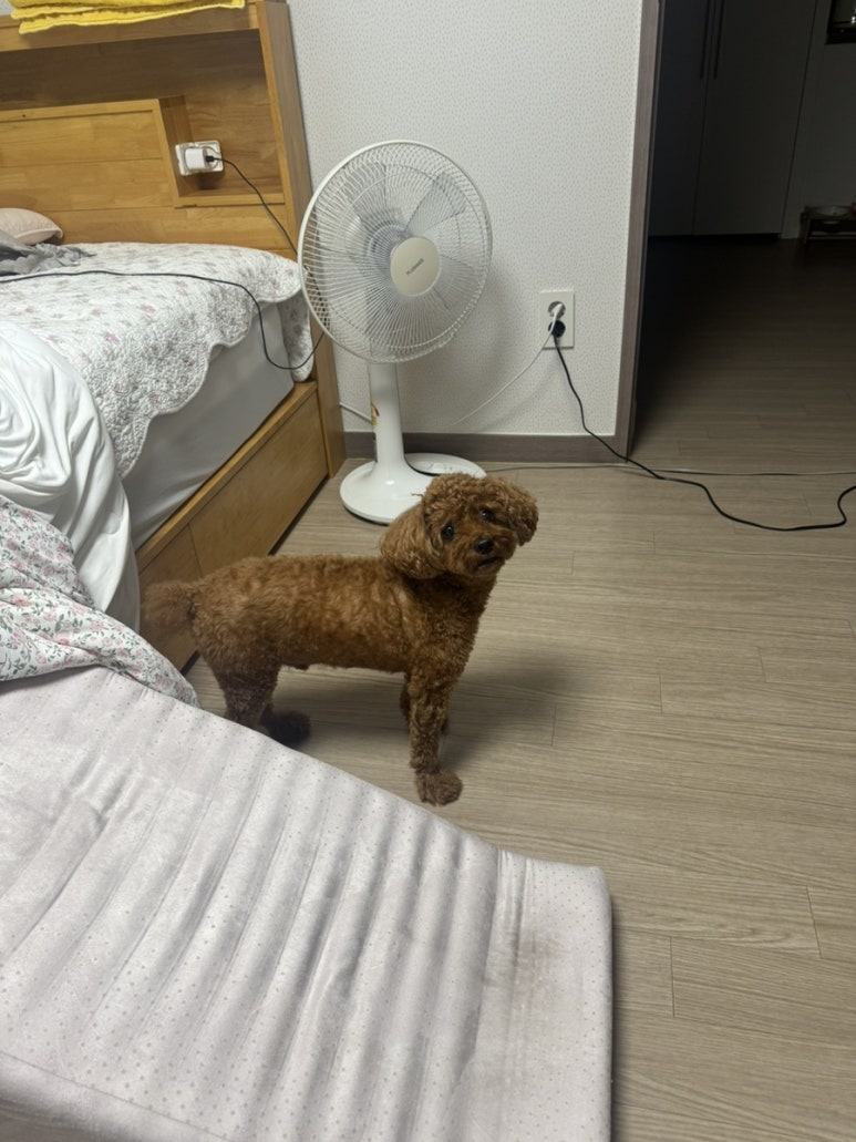 제이포켓클럽 이미지