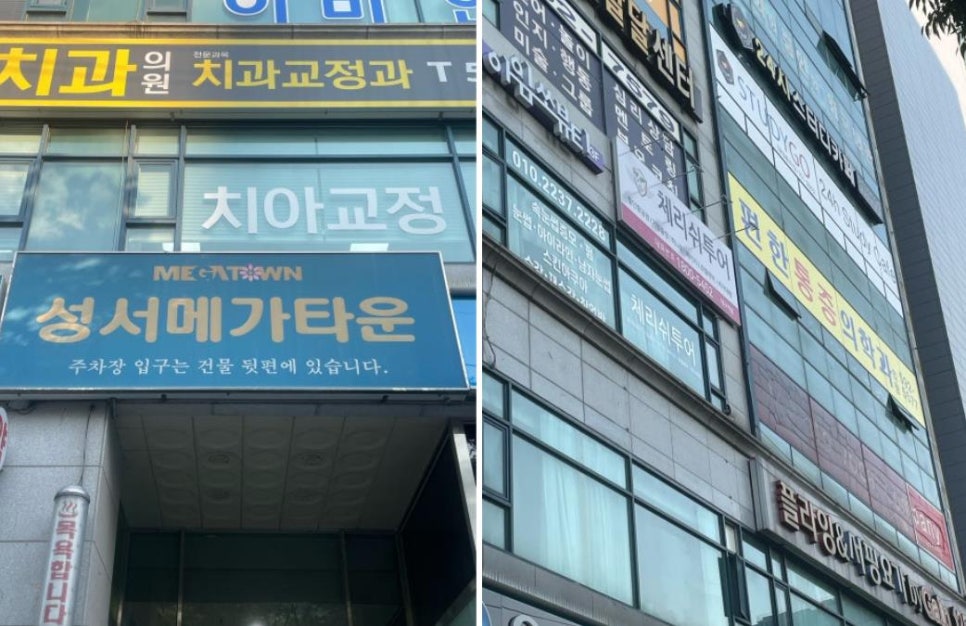 체리쉬투어 이미지