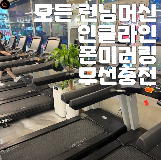 디노짐 이미지