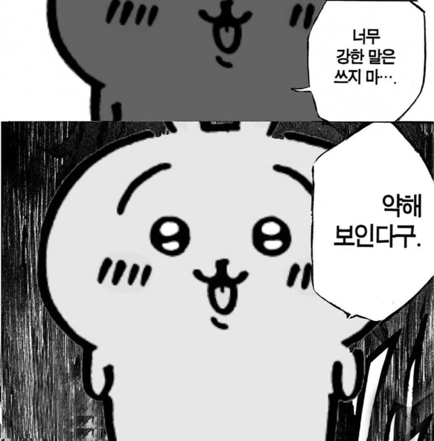 토리애드 이미지