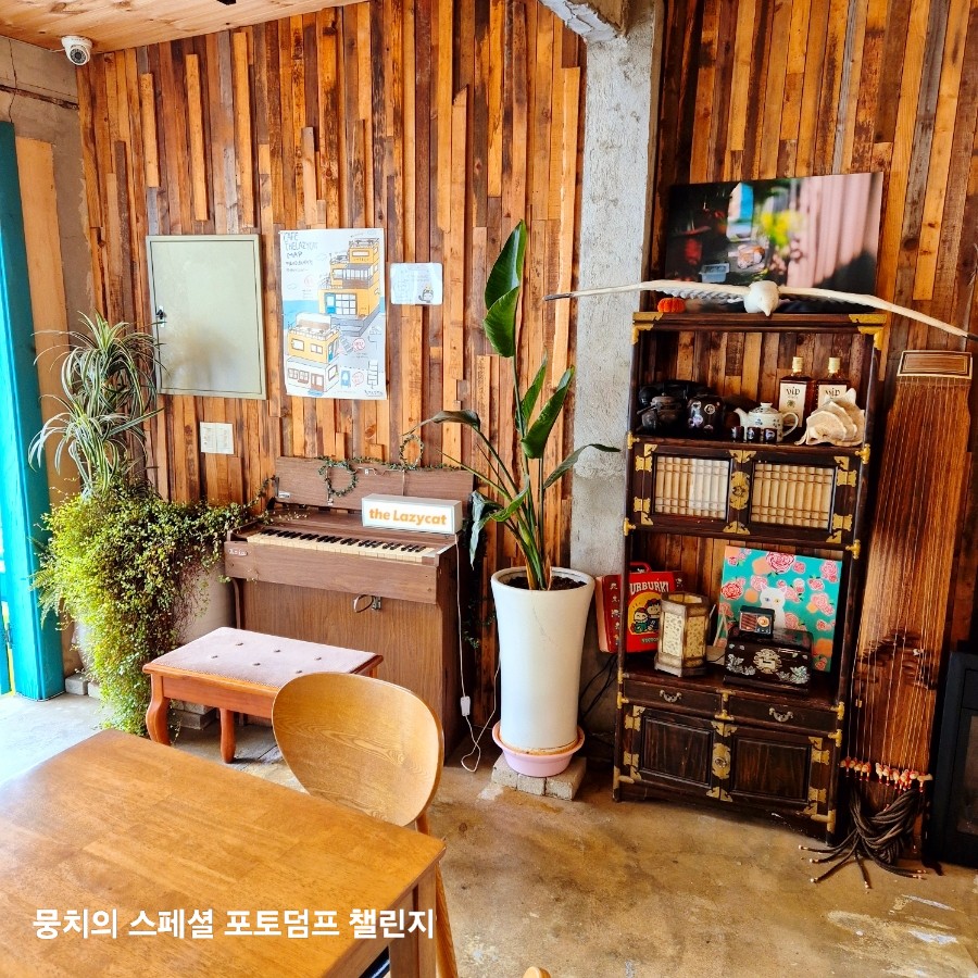 더레이지캣 이미지