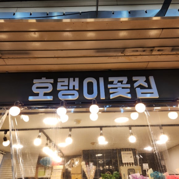 호랭이꽃집 이미지