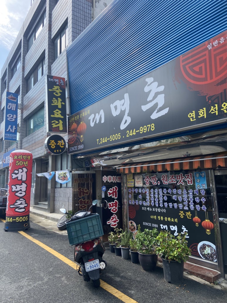 대명춘 이미지