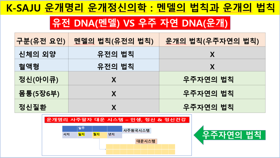 대운시스템 이미지