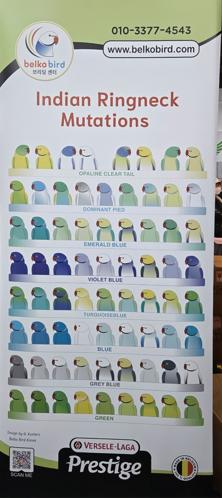 앵페스타 이미지