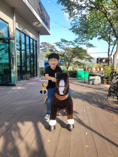 말보르승마장 이미지