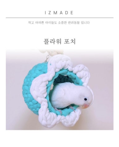 앵페스타 이미지