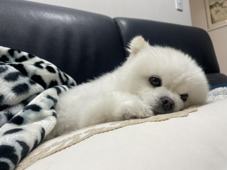 오씨오씨 이미지