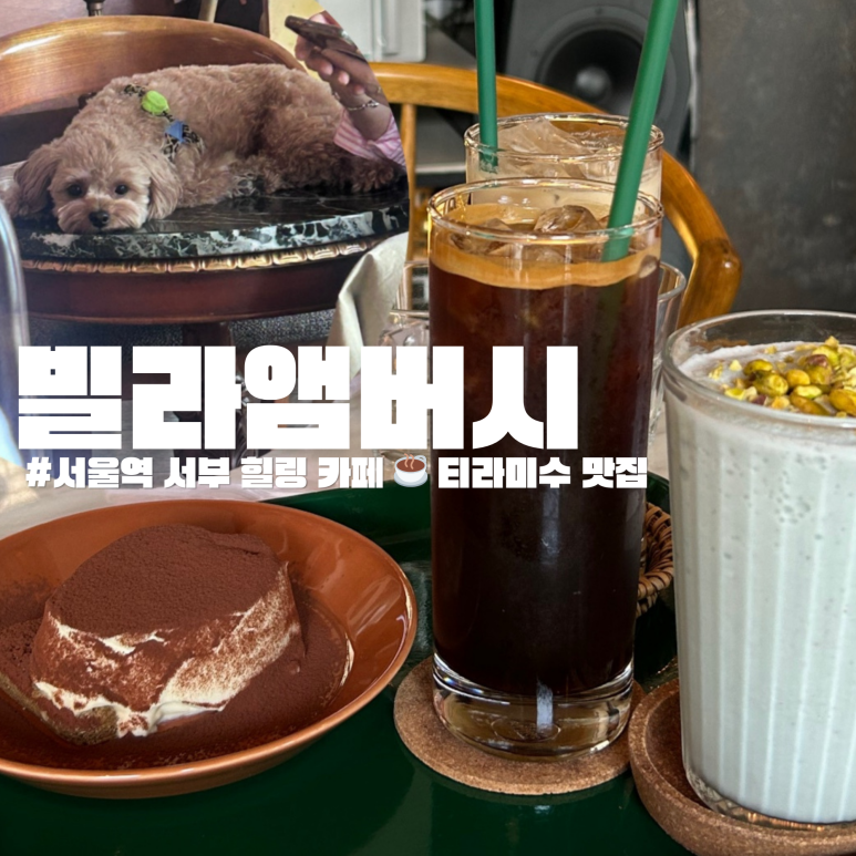 빌라앰버시 이미지
