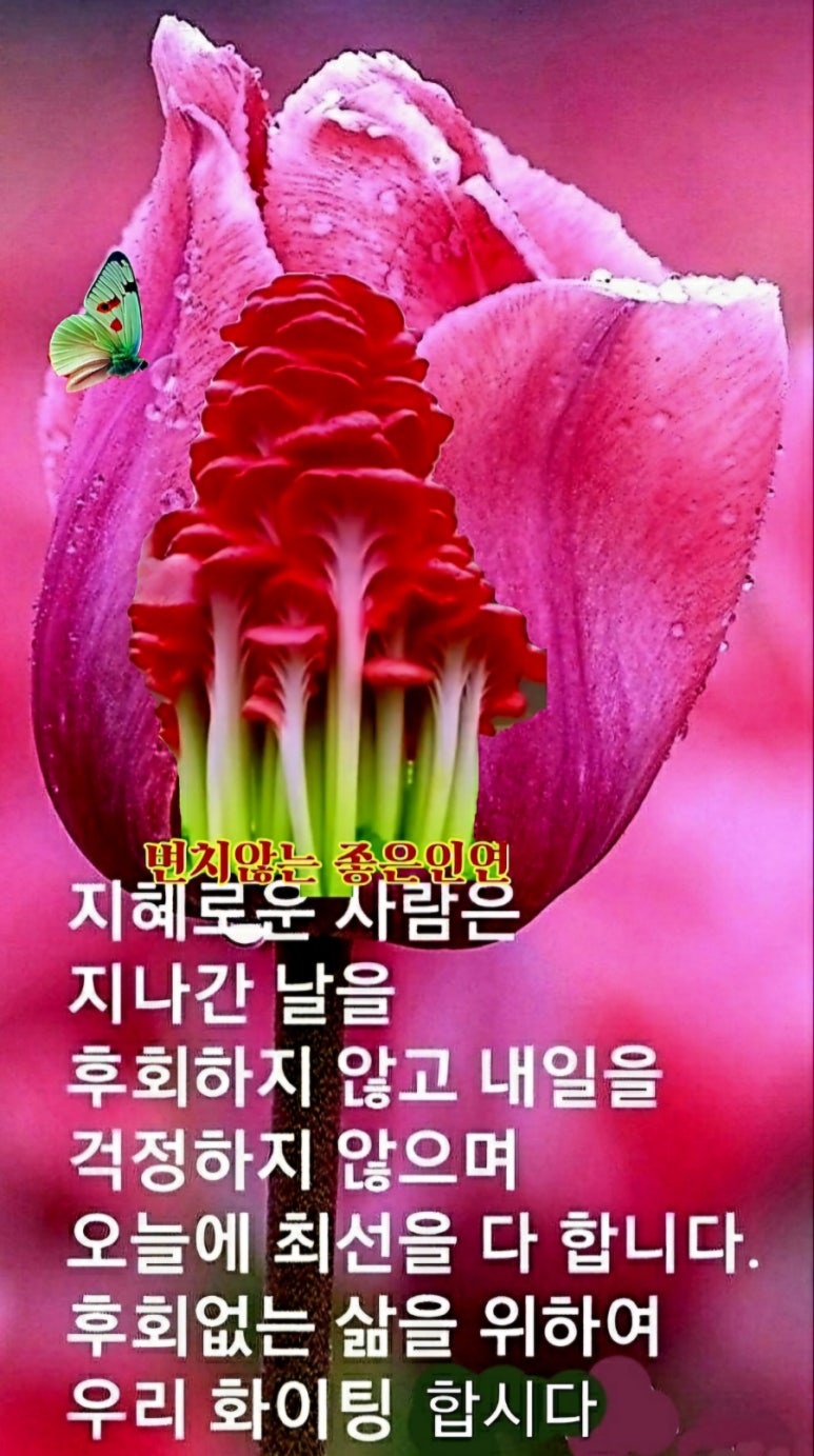 술고래 이미지